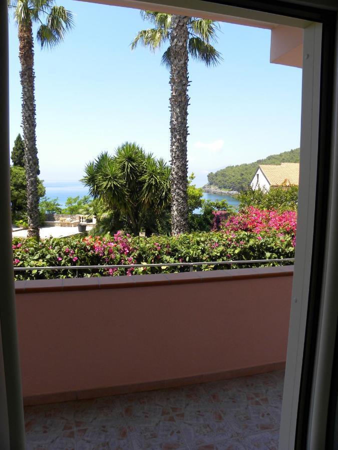Comfortable Apartment In Maratea With Sea View 95 M² + Parking Екстериор снимка